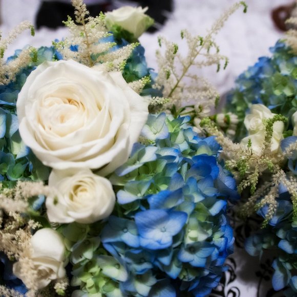 Meet your Posher, Rose - Picture 8 of 12